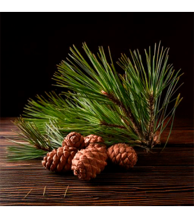 Siberian Pine flavour